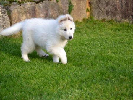 7 Wo, Wo ist nur die Katze